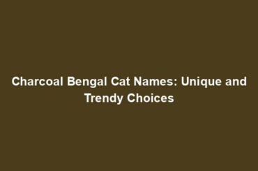 Charcoal Bengal Cat Names: Unique and Trendy Choices