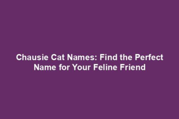 Chausie Cat Names: Find the Perfect Name for Your Feline Friend