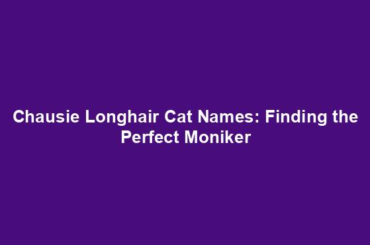 Chausie Longhair Cat Names: Finding the Perfect Moniker