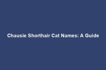 Chausie Shorthair Cat Names: A Guide