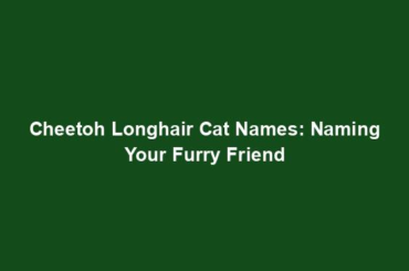 Cheetoh Longhair Cat Names: Naming Your Furry Friend