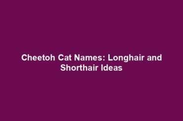 Cheetoh Cat Names: Longhair and Shorthair Ideas