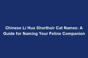 Chinese Li Hua Shorthair Cat Names: A Guide for Naming Your Feline Companion