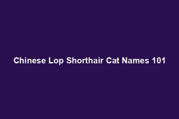 Chinese Lop Shorthair Cat Names 101