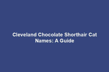 Cleveland Chocolate Shorthair Cat Names: A Guide