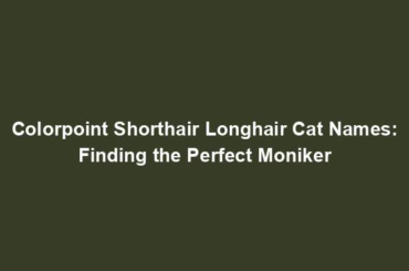 Colorpoint Shorthair Longhair Cat Names: Finding the Perfect Moniker