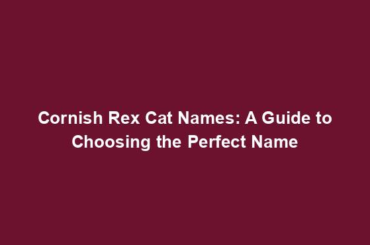 Cornish Rex Cat Names: A Guide to Choosing the Perfect Name