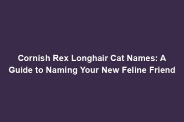 Cornish Rex Longhair Cat Names: A Guide to Naming Your New Feline Friend