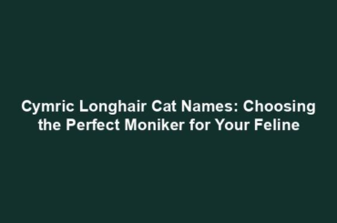 Cymric Longhair Cat Names: Choosing the Perfect Moniker for Your Feline