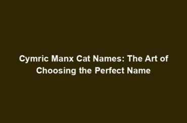 Cymric Manx Cat Names: The Art of Choosing the Perfect Name