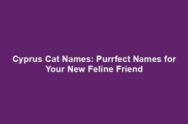 Cyprus Cat Names: Purrfect Names for Your New Feline Friend