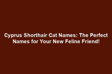 Cyprus Shorthair Cat Names: The Perfect Names for Your New Feline Friend!