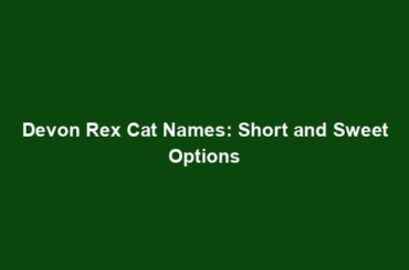 Devon Rex Cat Names: Short and Sweet Options