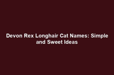 Devon Rex Longhair Cat Names: Simple and Sweet Ideas