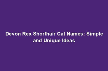 Devon Rex Shorthair Cat Names: Simple and Unique Ideas