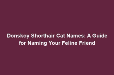 Donskoy Shorthair Cat Names: A Guide for Naming Your Feline Friend