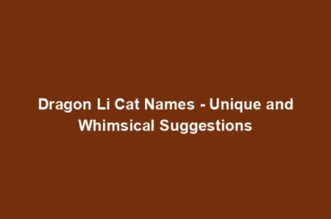 Dragon Li Cat Names - Unique and Whimsical Suggestions