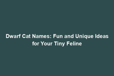 Dwarf Cat Names: Fun and Unique Ideas for Your Tiny Feline