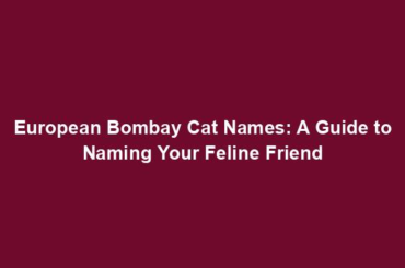 European Bombay Cat Names: A Guide to Naming Your Feline Friend