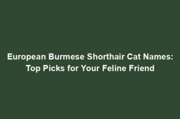 European Burmese Shorthair Cat Names: Top Picks for Your Feline Friend