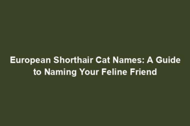 European Shorthair Cat Names: A Guide to Naming Your Feline Friend