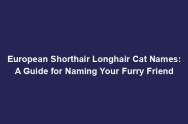 European Shorthair Longhair Cat Names: A Guide for Naming Your Furry Friend