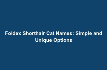 Foldex Shorthair Cat Names: Simple and Unique Options