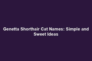 Genetta Shorthair Cat Names: Simple and Sweet Ideas