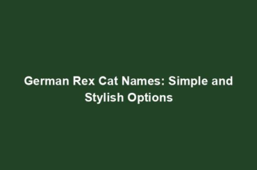 German Rex Cat Names: Simple and Stylish Options