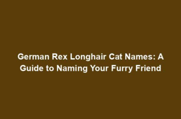 German Rex Longhair Cat Names: A Guide to Naming Your Furry Friend