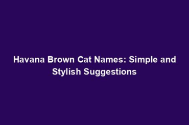 Havana Brown Cat Names: Simple and Stylish Suggestions