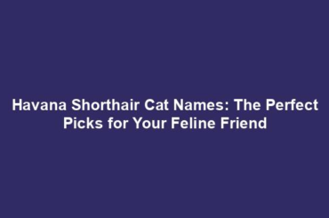 Havana Shorthair Cat Names: The Perfect Picks for Your Feline Friend