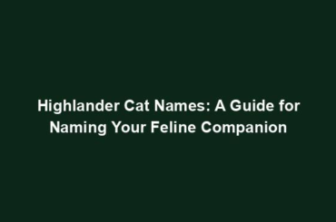 Highlander Cat Names: A Guide for Naming Your Feline Companion