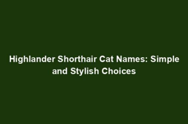 Highlander Shorthair Cat Names: Simple and Stylish Choices