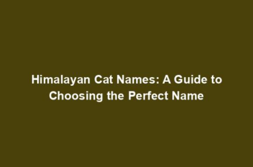 Himalayan Cat Names: A Guide to Choosing the Perfect Name