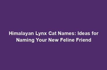 Himalayan Lynx Cat Names: Ideas for Naming Your New Feline Friend