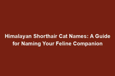 Himalayan Shorthair Cat Names: A Guide for Naming Your Feline Companion