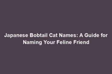 Japanese Bobtail Cat Names: A Guide for Naming Your Feline Friend