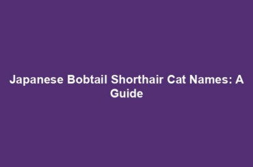 Japanese Bobtail Shorthair Cat Names: A Guide