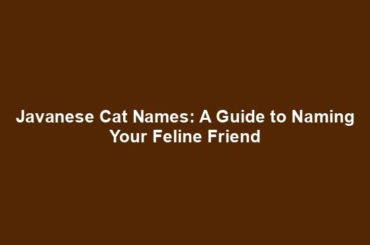 Javanese Cat Names: A Guide to Naming Your Feline Friend