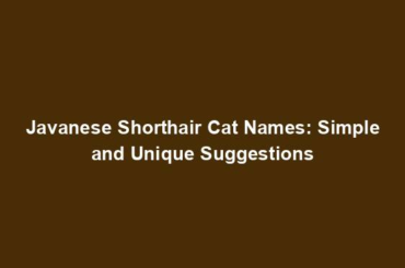 Javanese Shorthair Cat Names: Simple and Unique Suggestions