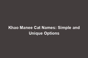 Khao Manee Cat Names: Simple and Unique Options