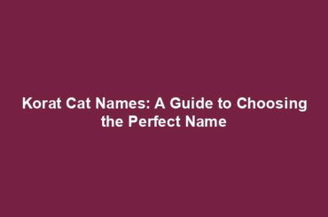 Korat Cat Names: A Guide to Choosing the Perfect Name