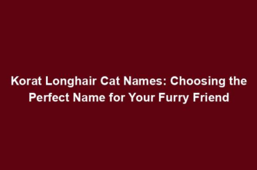 Korat Longhair Cat Names: Choosing the Perfect Name for Your Furry Friend