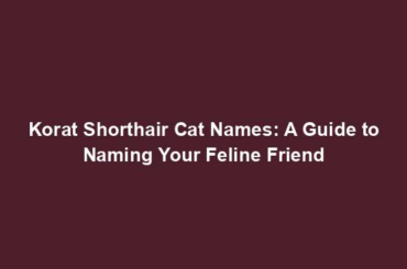 Korat Shorthair Cat Names: A Guide to Naming Your Feline Friend