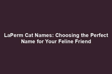 LaPerm Cat Names: Choosing the Perfect Name for Your Feline Friend