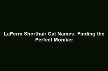 LaPerm Shorthair Cat Names: Finding the Perfect Moniker