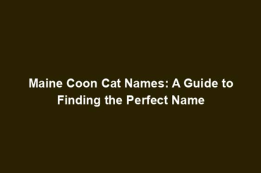 Maine Coon Cat Names: A Guide to Finding the Perfect Name