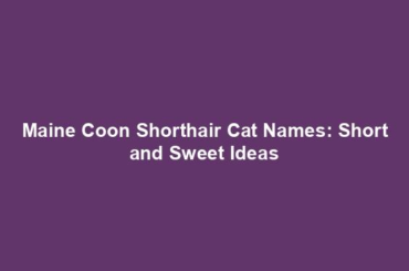 Maine Coon Shorthair Cat Names: Short and Sweet Ideas