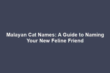 Malayan Cat Names: A Guide to Naming Your New Feline Friend